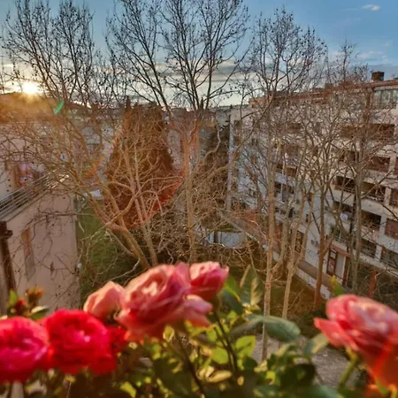 Bel Canto Split